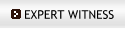 Expert Witness Services